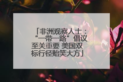 非洲观察人士：“一带一路”倡议至关重要 美国双标行径贻笑大方