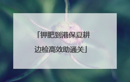 钾肥到港保夏耕 边检高效助通关