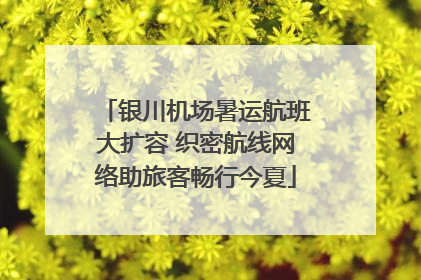 银川机场暑运航班大扩容 织密航线网络助旅客畅行今夏