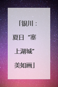 银川：夏日“塞上湖城”美如画