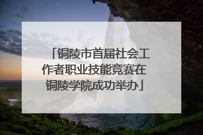 铜陵市首届社会工作者职业技能竞赛在铜陵学院成功举办
