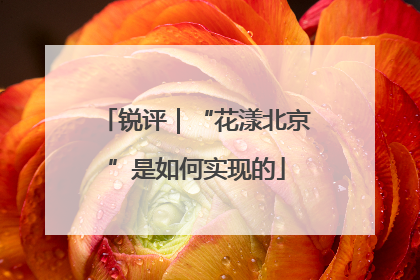 锐评｜“花漾北京”是如何实现的