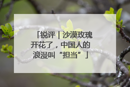 锐评｜沙漠玫瑰开花了，中国人的浪漫叫“担当”