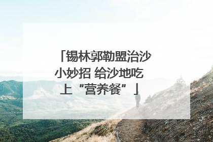 锡林郭勒盟治沙小妙招 给沙地吃上“营养餐”