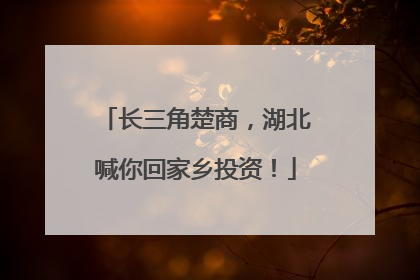 长三角楚商，湖北喊你回家乡投资！