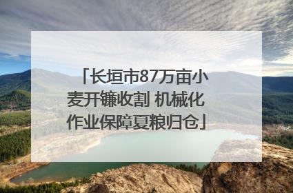长垣市87万亩小麦开镰收割 机械化作业保障夏粮归仓