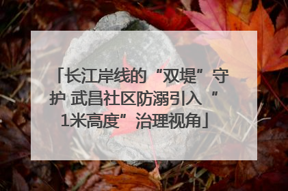 长江岸线的“双堤”守护 武昌社区防溺引入“1米高度”治理视角