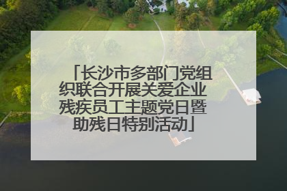 长沙市多部门党组织联合开展关爱企业残疾员工主题党日暨助残日特别活动