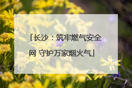 长沙：筑牢燃气安全网 守护万家烟火气