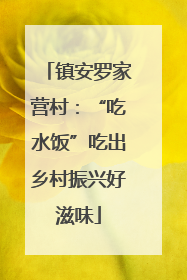 镇安罗家营村：“吃水饭”吃出乡村振兴好滋味