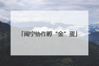 闽宁协作孵“金”蛋