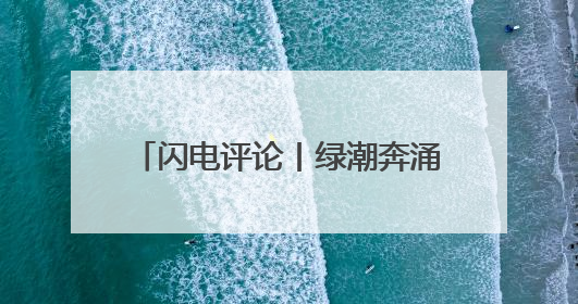 闪电评论丨绿潮奔涌 书写山东生态答卷
