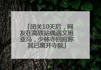 闭关10天后，网友在高铁站偶遇文班亚马，少林寺回应称其已离开寺院