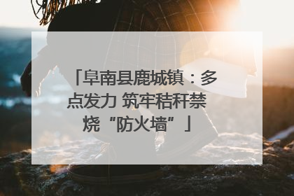 阜南县鹿城镇：多点发力 筑牢秸秆禁烧“防火墙”