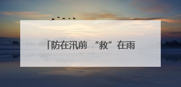 防在汛前 “救”在雨中——太保服务在行动