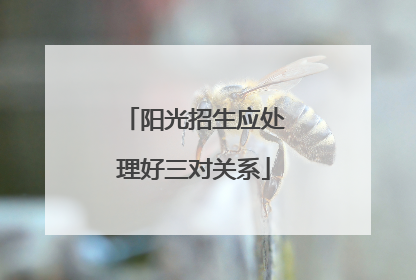 阳光招生应处理好三对关系