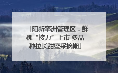 阳新率洲管理区：鲜桃“接力”上市 多品种拉长甜蜜采摘期