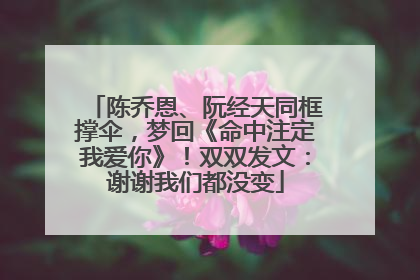 陈乔恩、阮经天同框撑伞，梦回《命中注定我爱你》！双双发文：谢谢我们都没变