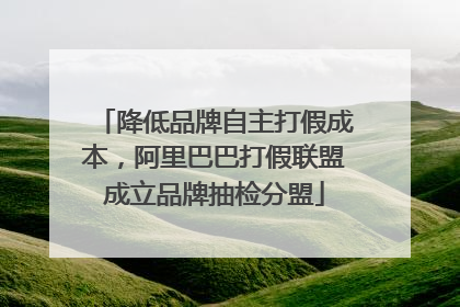 降低品牌自主打假成本，阿里巴巴打假联盟成立品牌抽检分盟