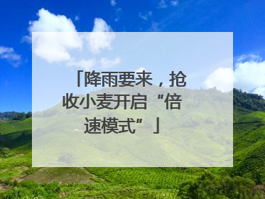 降雨要来，抢收小麦开启“倍速模式”