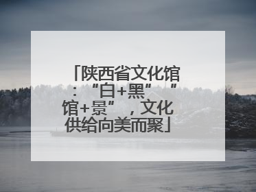 陕西省文化馆：“白+黑”“馆+景”，文化供给向美而聚