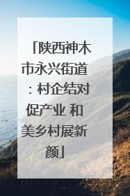 陕西神木市永兴街道：村企结对促产业 和美乡村展新颜