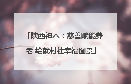 陕西神木：慈善赋能养老 绘就村社幸福图景