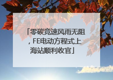 零碳竞速风雨无阻，FE电动方程式上海站顺利收官