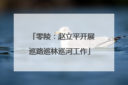 零陵：赵立平开展巡路巡林巡河工作