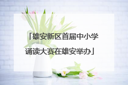 雄安新区首届中小学诵读大赛在雄安举办