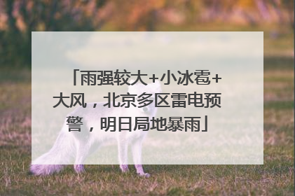 雨强较大+小冰雹+大风，北京多区雷电预警，明日局地暴雨