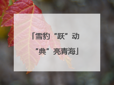 雪豹“跃”动 “典”亮青海