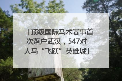 顶级国际马术赛事首次落户武汉，547对人马“飞跃”英雄城