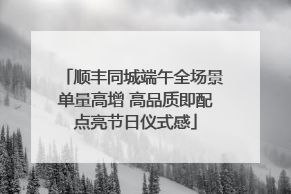 顺丰同城端午全场景单量高增 高品质即配点亮节日仪式感