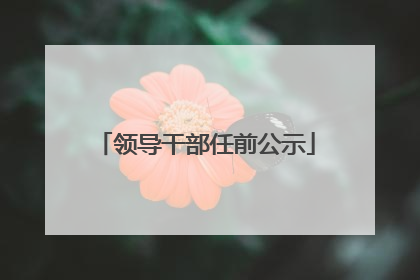 领导干部任前公示