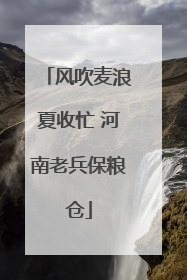 风吹麦浪夏收忙 河南老兵保粮仓