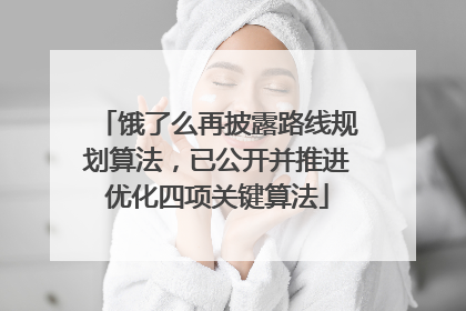 饿了么再披露路线规划算法，已公开并推进优化四项关键算法