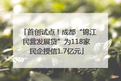 首创试点！成都“锦江民营发展贷”为118家民企授信1.7亿元