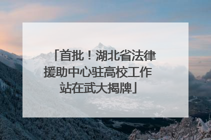 首批！湖北省法律援助中心驻高校工作站在武大揭牌