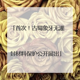 首次！古蜀象牙无灌封材料保护公开展出