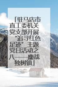 驻马店市直工委机关党支部开展“追寻红色足迹”主题党日活动之八——鏖战独树镇