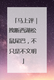 马上评｜拽断西湖松鼠尾巴，不只是不文明