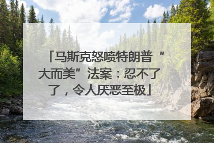马斯克怒喷特朗普“大而美”法案：忍不了了，令人厌恶至极
