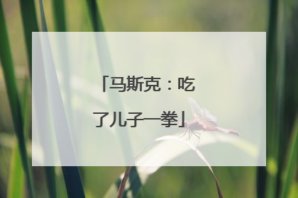 马斯克：吃了儿子一拳