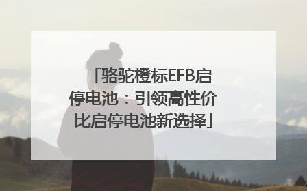 骆驼橙标EFB启停电池：引领高性价比启停电池新选择