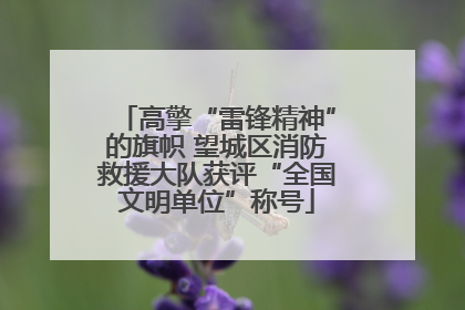 高擎“雷锋精神”的旗帜 望城区消防救援大队获评“全国文明单位”称号