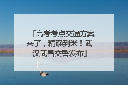 高考考点交通方案来了，精确到米！武汉武昌交警发布