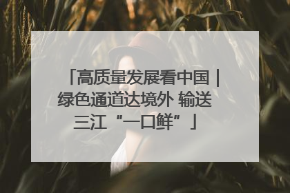 高质量发展看中国｜绿色通道达境外 输送三江“一口鲜”