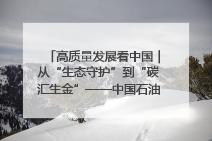 高质量发展看中国｜从“生态守护”到“碳汇生金”——中国石油大庆油田绿色蝶变