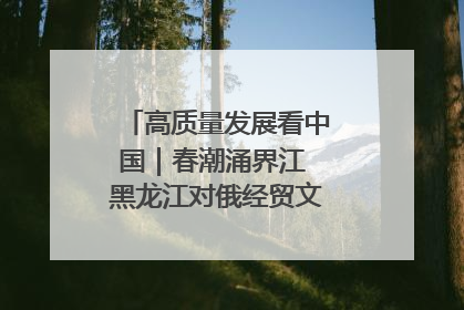 高质量发展看中国｜春潮涌界江 黑龙江对俄经贸文旅交流绿意盎然